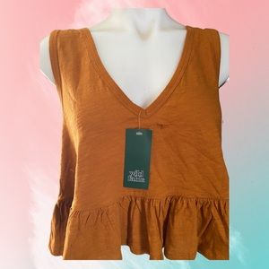 Wild Fable v neck crop top